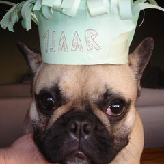 tina 1 jaar