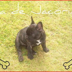 Dit is Ida :-) In de zomer...