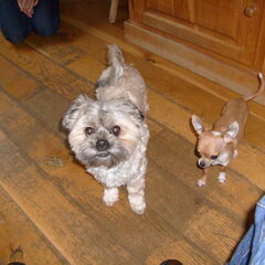 Ella en chiara.