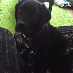 Oh, hallo daar