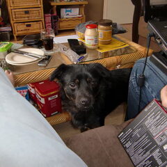 dit is mijn andere hondje Shadow...