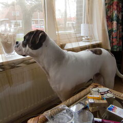 Hij is wel groot hoor haha schoft 60cm