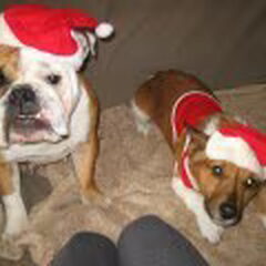 kerst?