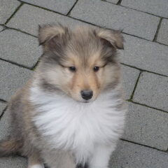 04 april 2010 De eerste keer bij oma & opa