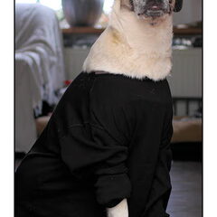 Kira in een Tshirt, moet dat nou? ;-)