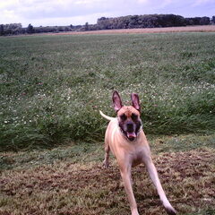 joepie...het is weer lente!