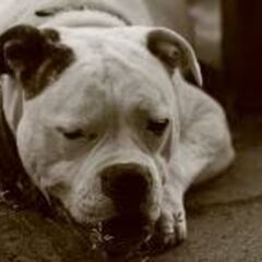 dit is scarlett op deze foto was zij 11 maand