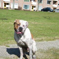 en dit is jack met 10 maand