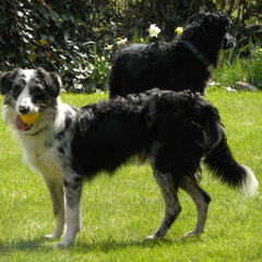april 2010 bijna 8 maand