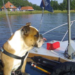 stukje varen