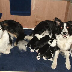 De familie :-)