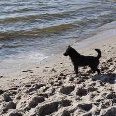 ooooeee Water