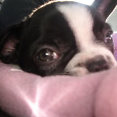 Onze lieve kleine meid