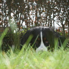 In afwachting van...