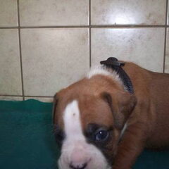 lara is hier 3,5 week oud