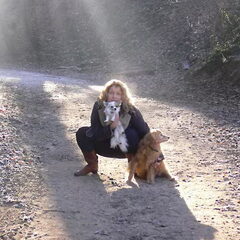 in valkenburg in het bos