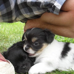 Samen met z'n tweetjes