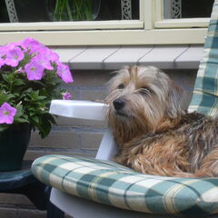 Genietend in de tuin.