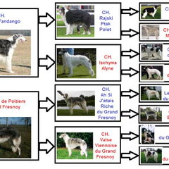 Exor' pedigree