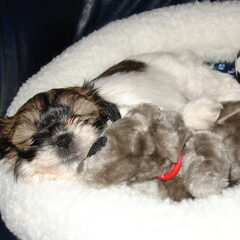 Lara 8 weekjes
