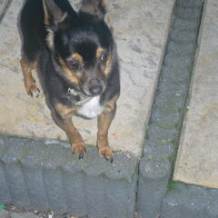 Dit is weer Mike