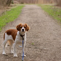 rondje bos..