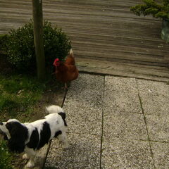Cissy en Henny