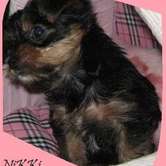 Schattig te wezen!!!