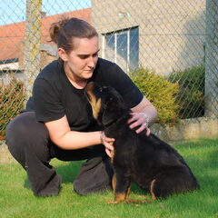 hallo iedereen, dat ben ik met mijne kersverse pup…