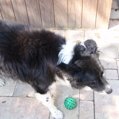 ons ouwetje aan t spelen