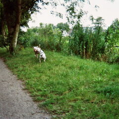 tyson met zijn vriend aan het spelen