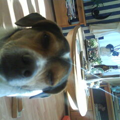 slaperig! XD