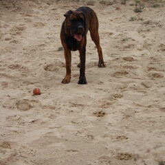 actie!