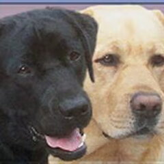Hier een avatar met Igor en Cilas