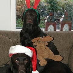 Kerst 2008