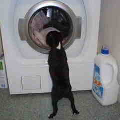 Wasmachine