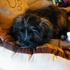 Zo'n lief smoeleke