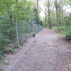 Even m´n ontlasting laten lopen.