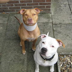 alle twee samen lief toch