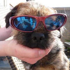 mascha heeft last van de zon, hihi