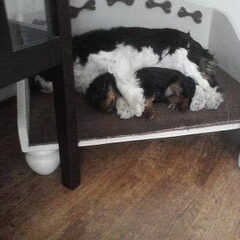 Samen slapen is zooooooo lief !!!!
