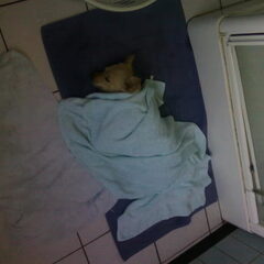 Bij mama op de badkamer slapen onder de handdoek !