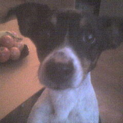 me lieverd