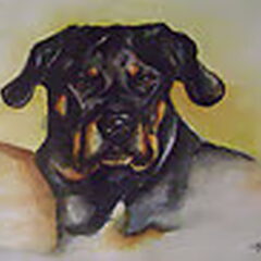 Aquarel van mijn eerste Ado