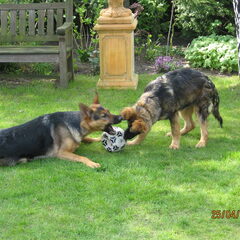 samen spelen