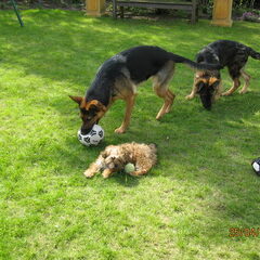 Lady en Boy in de tuin