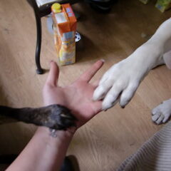 klein en groot (L)