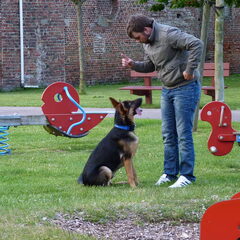 trainen