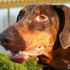 Tequila 09-2008