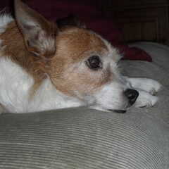 Kaisa 06-2009